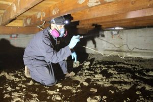 crawl-space-inspection6