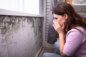 when-should-you-get-a-mold-inspection-when-buying-a-home